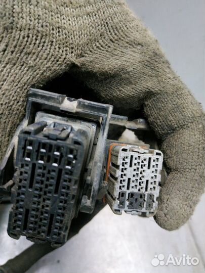 Проводка двс Nissan Qashqai+2 JJ10E MR20DE 2010