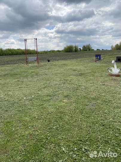 Покос травы