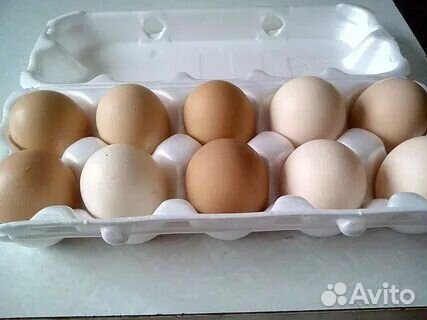 Домашние куриные яйца