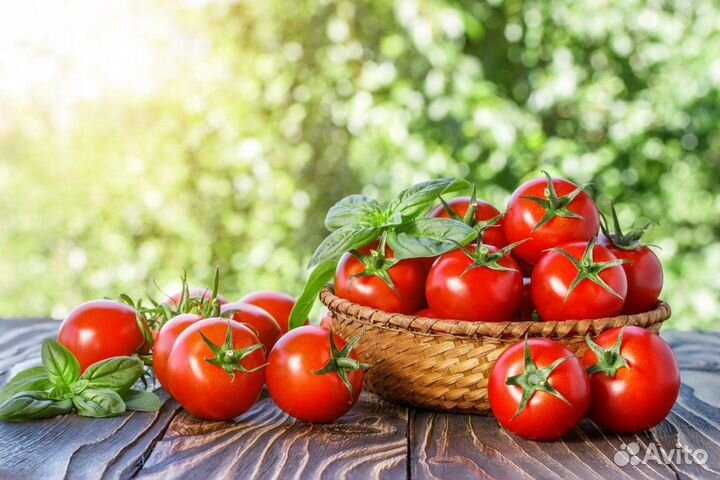 Вахта разнорабочий в теплицу проживание/питание