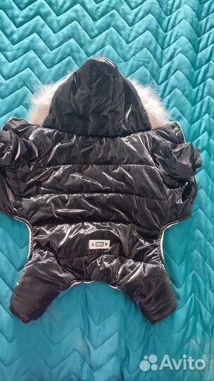 Комбинезон для кобеля мелкой породы