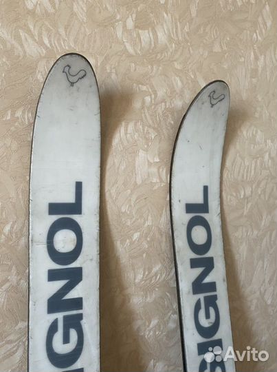 Горные лыжи