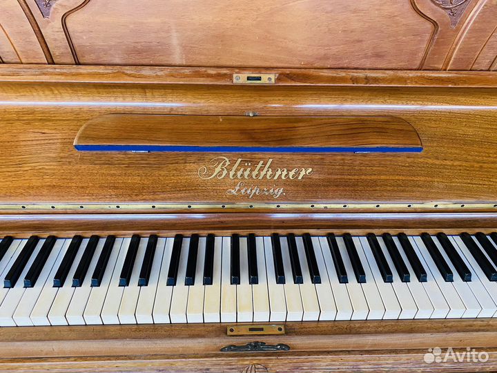 Пианино bluthner
