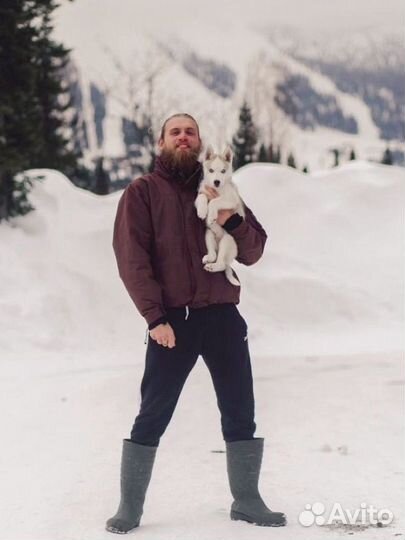 Организую Проживание в Шерегеше