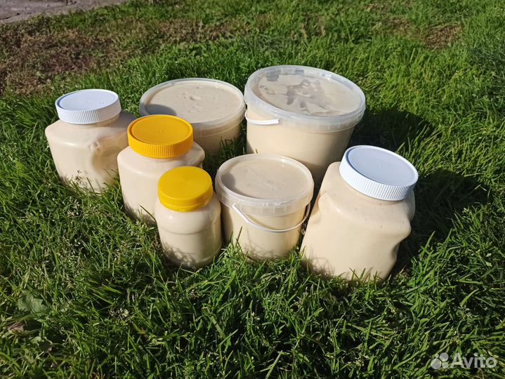 Белый мёд, 2023год