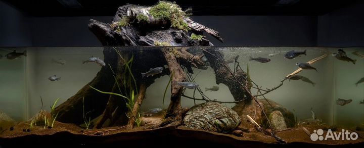 Чистка террариумов\уход за экзотическими животными