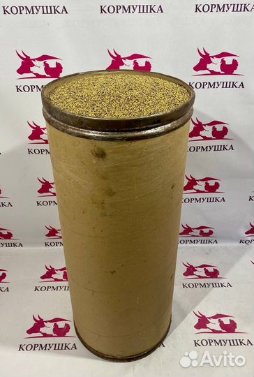 Семена Клевера