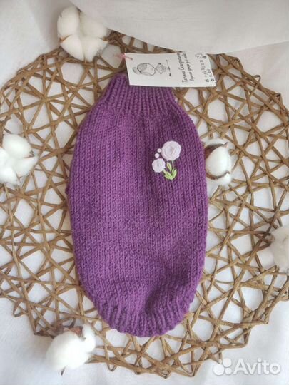 Одежда для собак