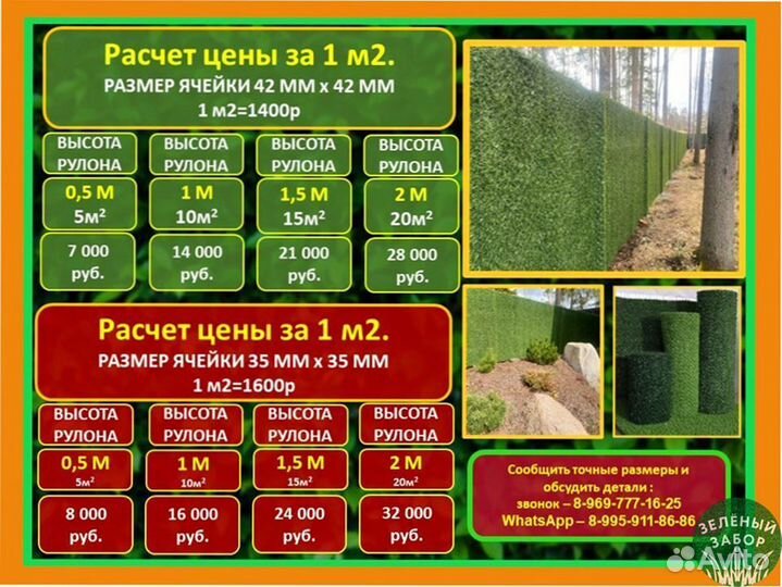 Калифорнийская изгородь