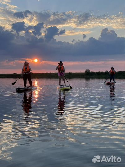 Аренда sup досок
