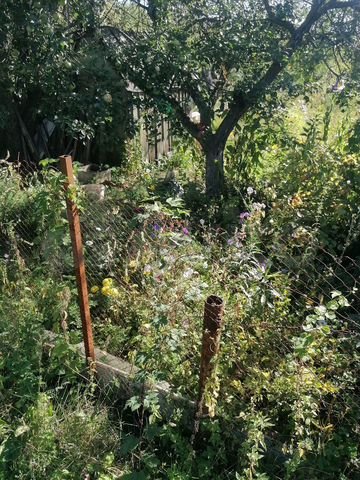 Снт труд-2. Детский сад 17 пчелка володарского. Снт вишневый сад ульяновск. Детский сад володарск. Кострома садовое товарищество юбилейный.