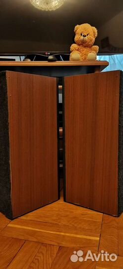 Акустическая система Вега 50 ас-106