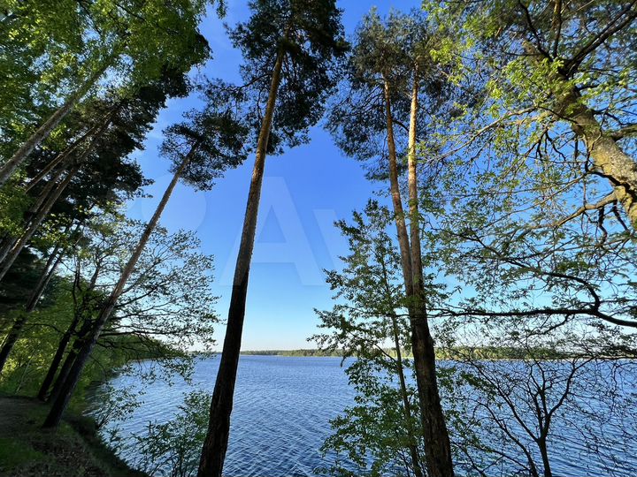 Участок 8,5 сот. (ИЖС)