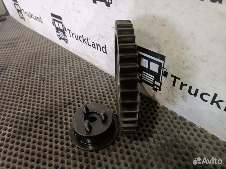 Шестерня грм Man Tgx