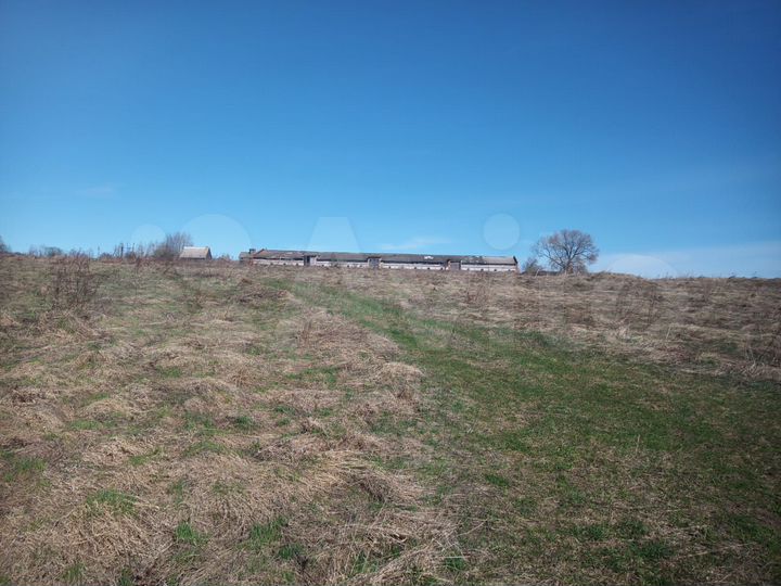 Участок 320 га (СНТ, ДНП)