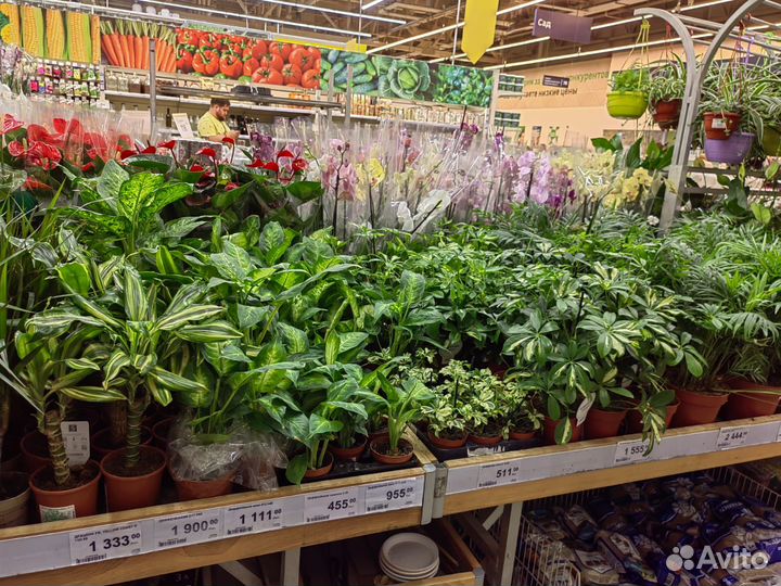 Подработка мерчандайзером г. Москва м. ЗИЛ