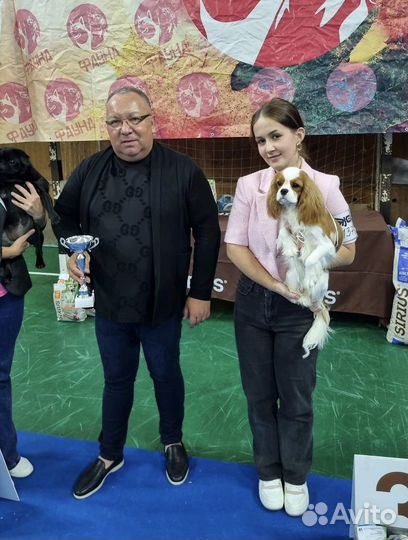 Услуги хендлера