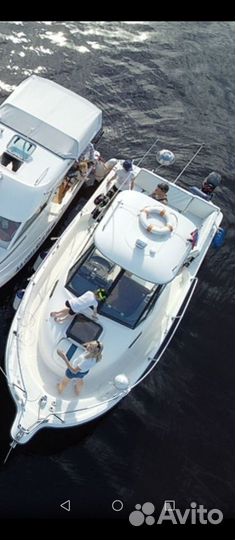 Bayliner 2052 trophy WA