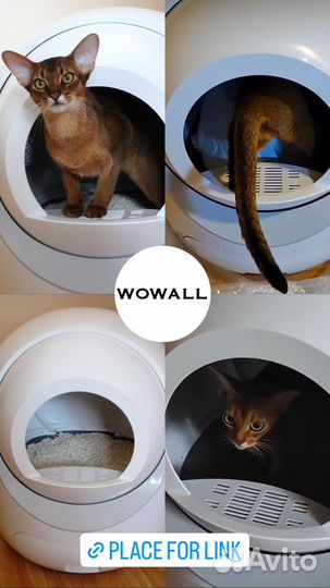 Умный туалет для кошек Wowall