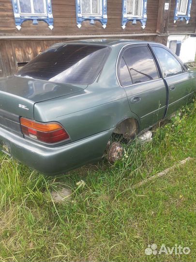 Дверь Toyota Corolla