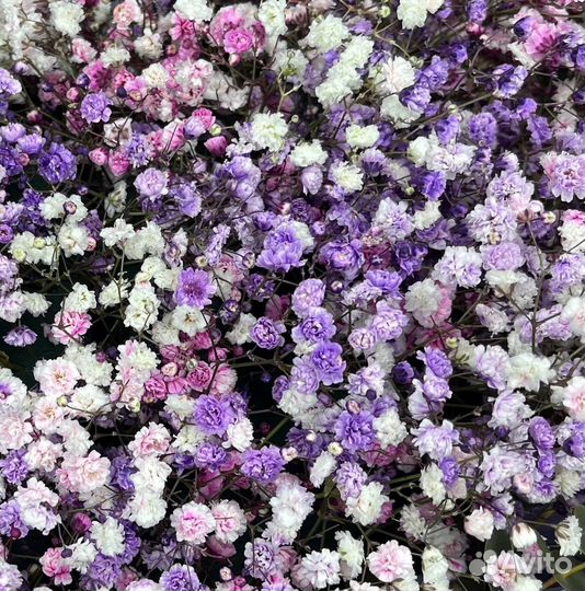 Композиция из гипсофилы и эвкалипта