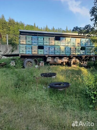 Прицеп пчеловоз, 2008