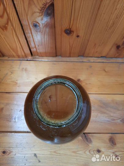 Мед 2023 свежая качка