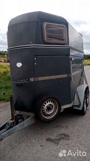 Услуги по перевозки лошадей и крс