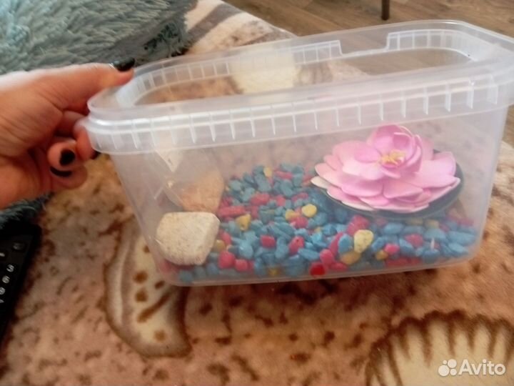 Аквариум (набор) для черепахи