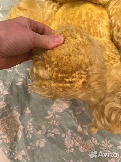 Медведь и кукла СССР