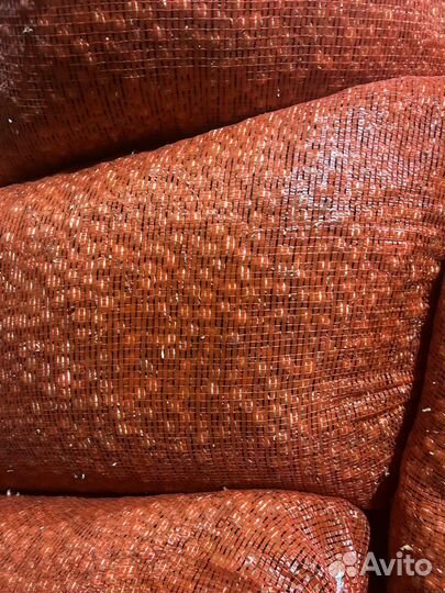 Лук севок штутгартер