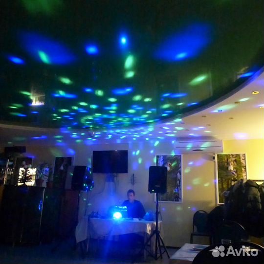 Бас гитара,вокал,DJ