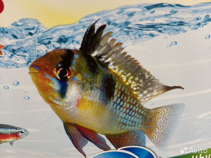 Обслуживание аквариумов, установка, чистка аквариу