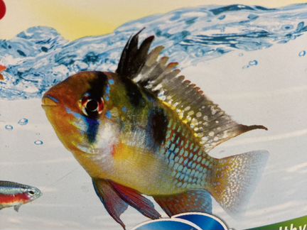 Обслуживание аквариумов, установка, чистка аквариу