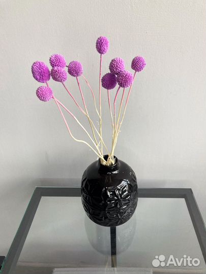 Краспедия / сухоцветы для декора