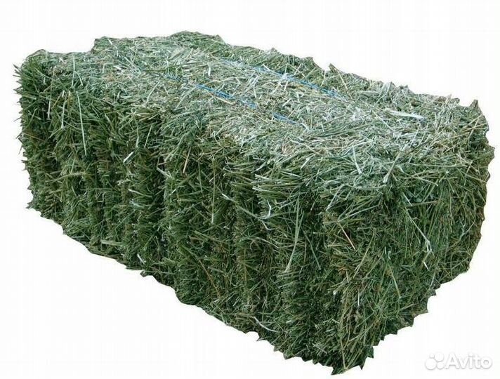 Сено разнотравье