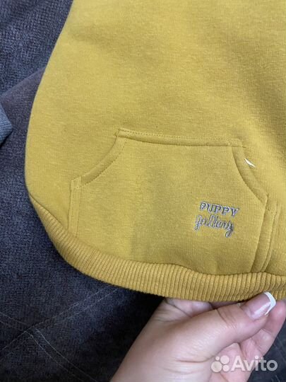 Худи для мелких собачек