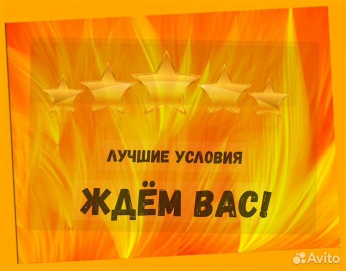 Наборщик заказов Без опыта Еженедельные выплаты