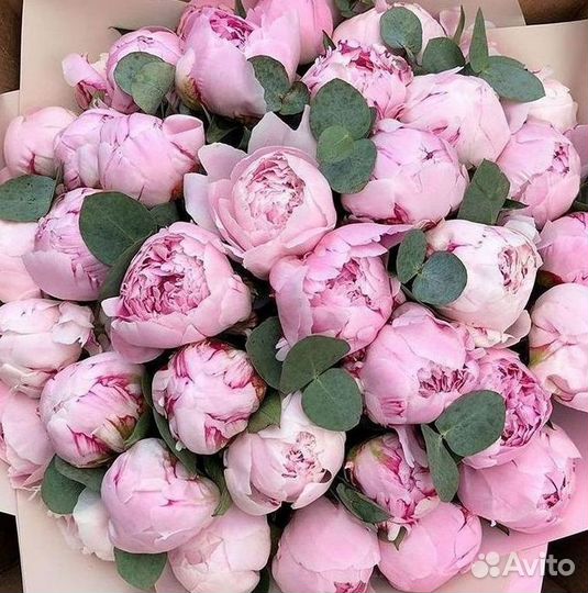 Пионы Букет пионов Доставка цветов