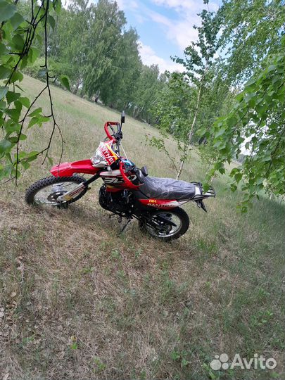 Racer Panther 300