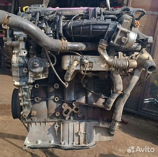 2301017 Двигатель Kia Sorento 2 2.2 Дизель D4HB