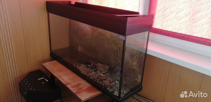 Аквариум 120 литров