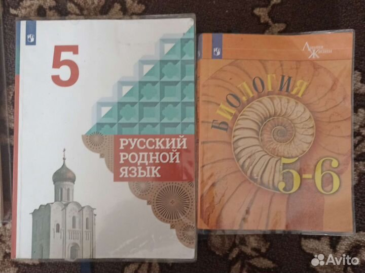 Учебники 5 6 класс