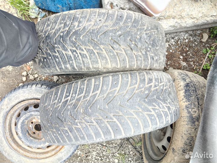 Nankang SW-8 Ice Activa 205/55 R16 94T