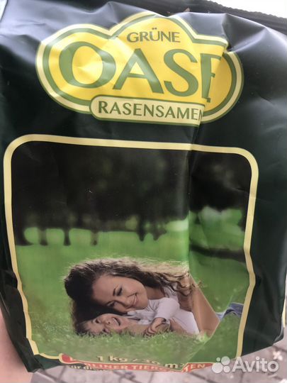 Герань мультиблум (Доставка бесплатная)