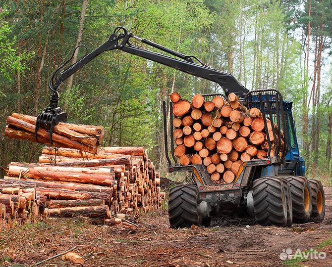 Строительство деревянного дома Классик