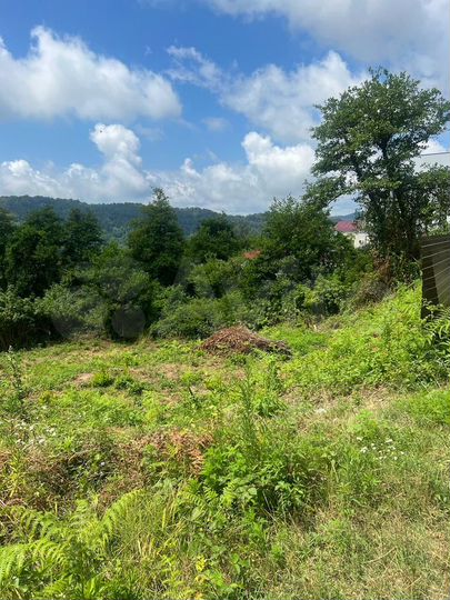 Участок 5 сот. (СНТ, ДНП)