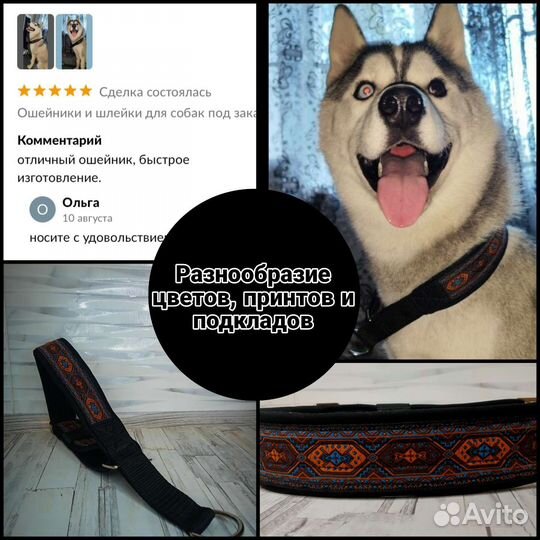 Ошейники и шлейки для собак под заказ