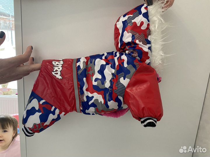 Одежда для собак