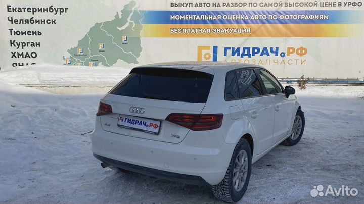 Петли двери передней левой Audi A3 (8V)